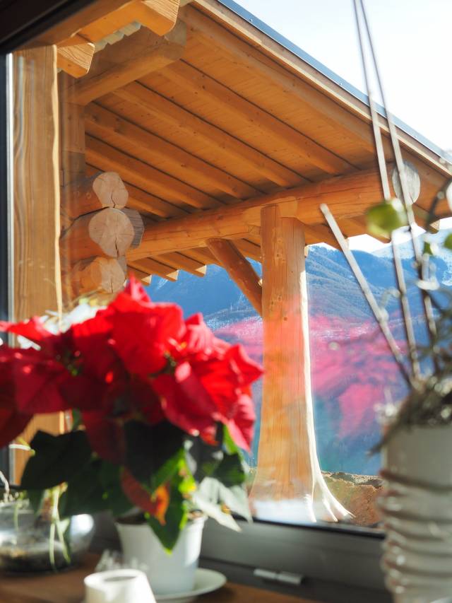 Dettaglio casa in tronchi